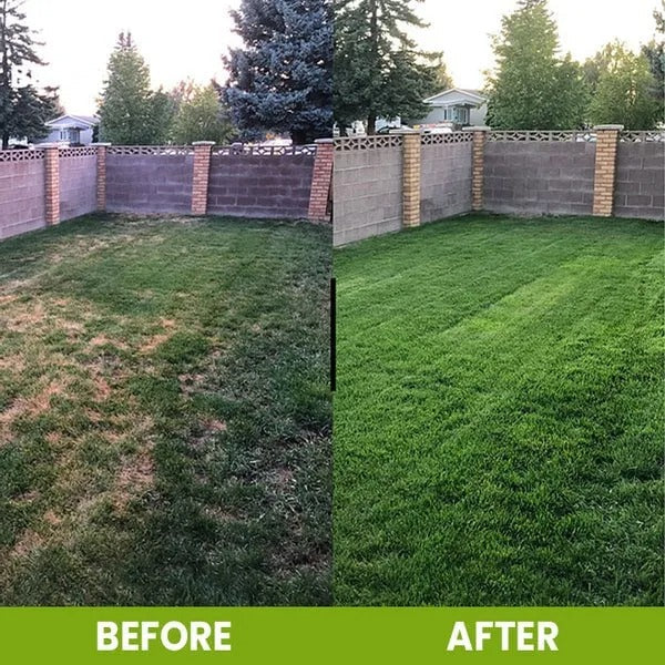 Soil Activated Treasure Premium Soil Activator 200gram (BUY 1 GET 1 FREE !!)