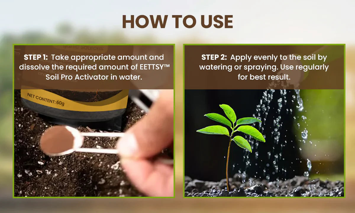 Soil Activated Treasure Premium Soil Activator 200gram (BUY 1 GET 1 FREE !!)